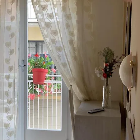 In Guest - New Cirene Economy Single With Half *